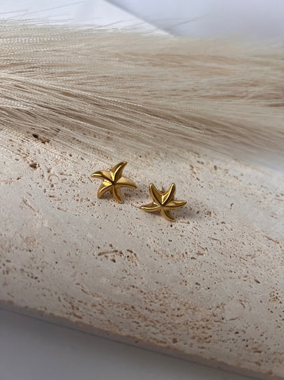 Starfish earrings.