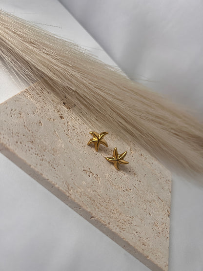 Starfish earrings.